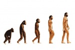 Biologie - Abstammungslehre und Evolution