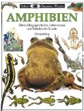 Alles zu Amphibien (Lurche)